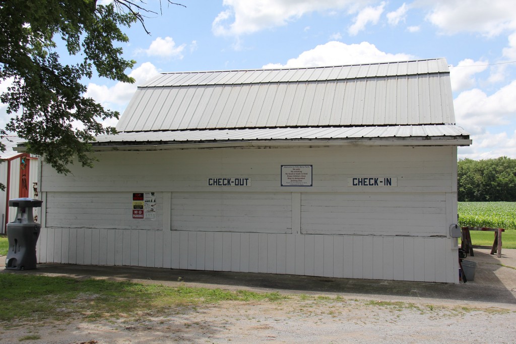 About Us Fritts Berry Farm DeMotte, Indiana Blueberries